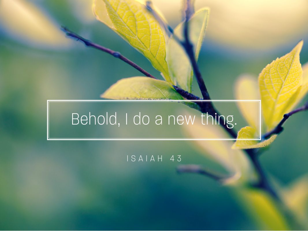 BEHOLD I DO A NEW THING SERMON GRAPHIC_AUDITORIUM
